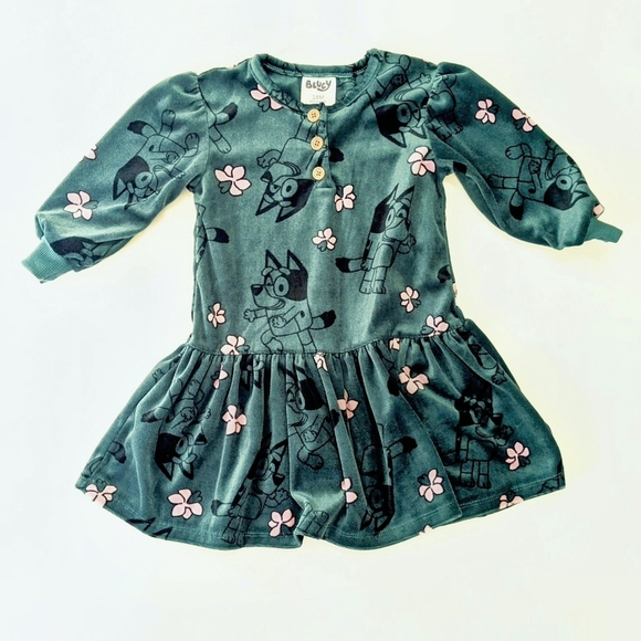 Bluey Other - Toddler Girls' Bluey Velour Dress - Teal Blue